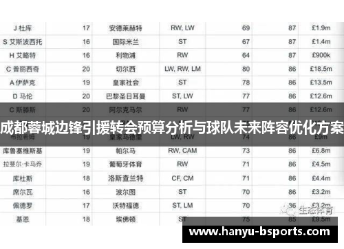 成都蓉城边锋引援转会预算分析与球队未来阵容优化方案 成都蓉城边锋引援转会预算分析与球队未来阵容优化方案