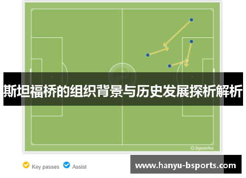 斯坦福桥的组织背景与历史发展探析解析 斯坦福桥的组织背景与历史发展探析解析